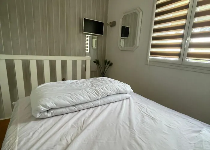 Apartament Au Coeur Des Pins - 2 - 6 Personnes-clim-parking